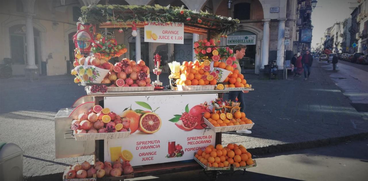 La Terrazza Ursino